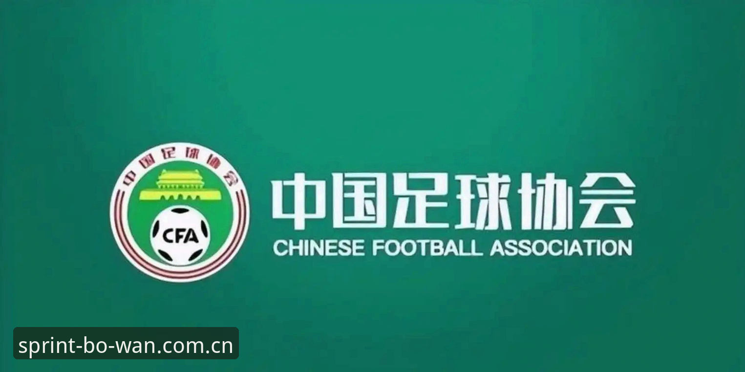 博万体育官方注册怎么样 足协第三批禁足名单深度解析:3大看点解读65人处罚背后的中国足球反腐风暴